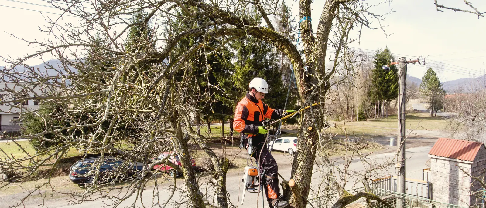 Émondeur harnaché sciant une branche dans un arbre résidentiel