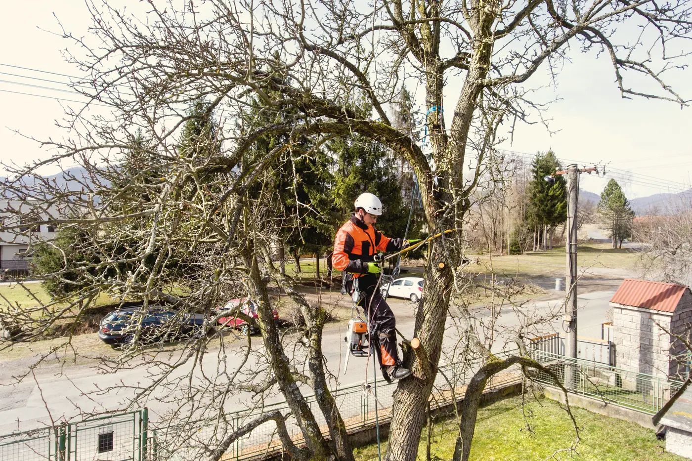Émondeur harnaché sciant une branche dans un arbre résidentiel